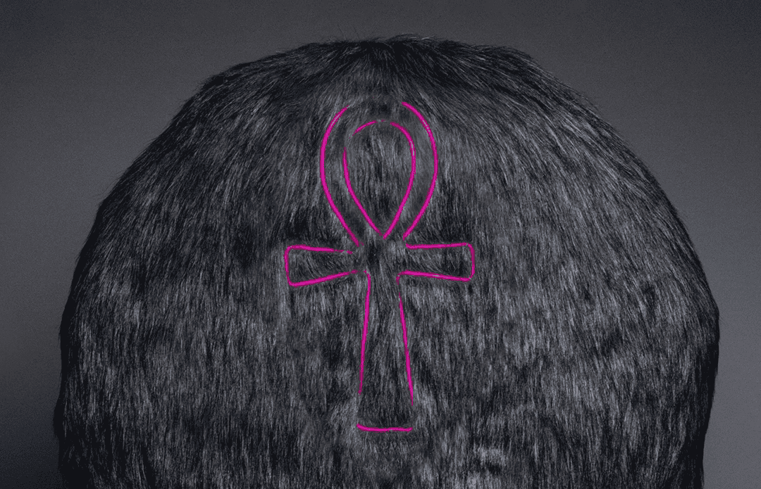 A halo of grey fur with a glowing pink Ankh embedded in it