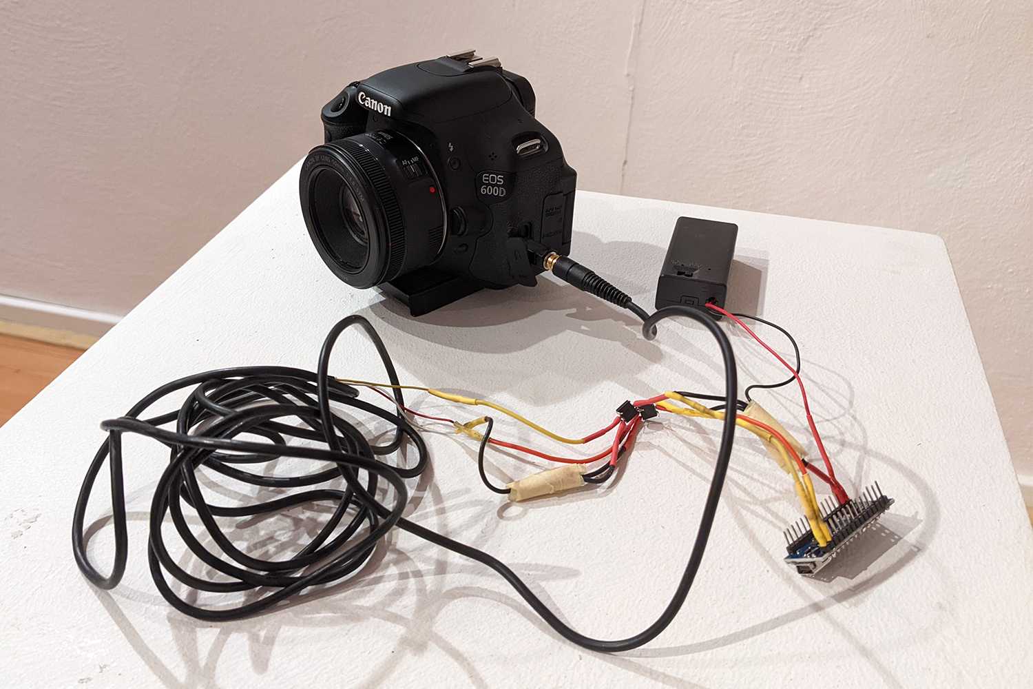 Eine vom digitalen Organismus Kunst aufgenommene Fotografie