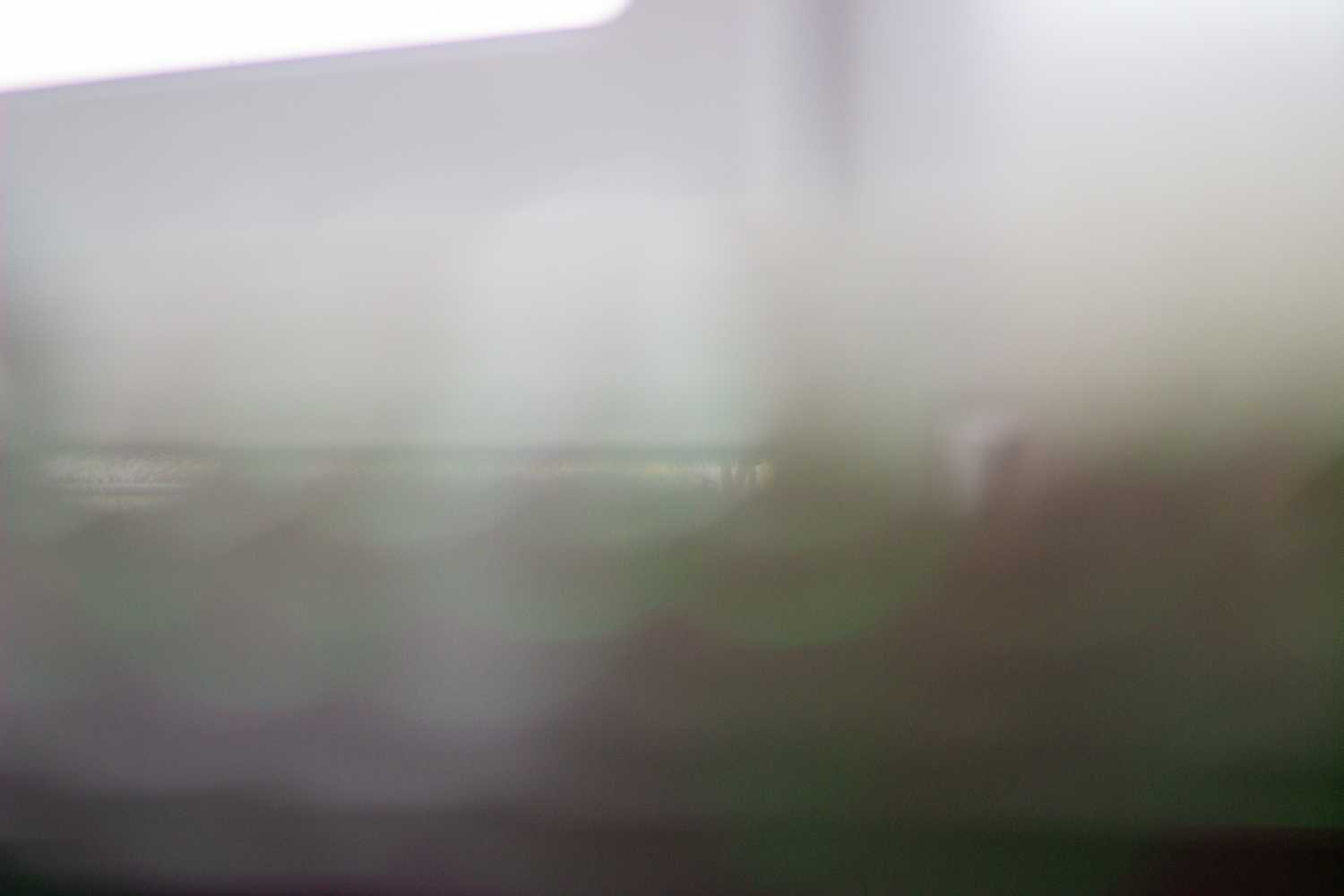 Eine vom digitalen Organismus Kunst aufgenommene Fotografie