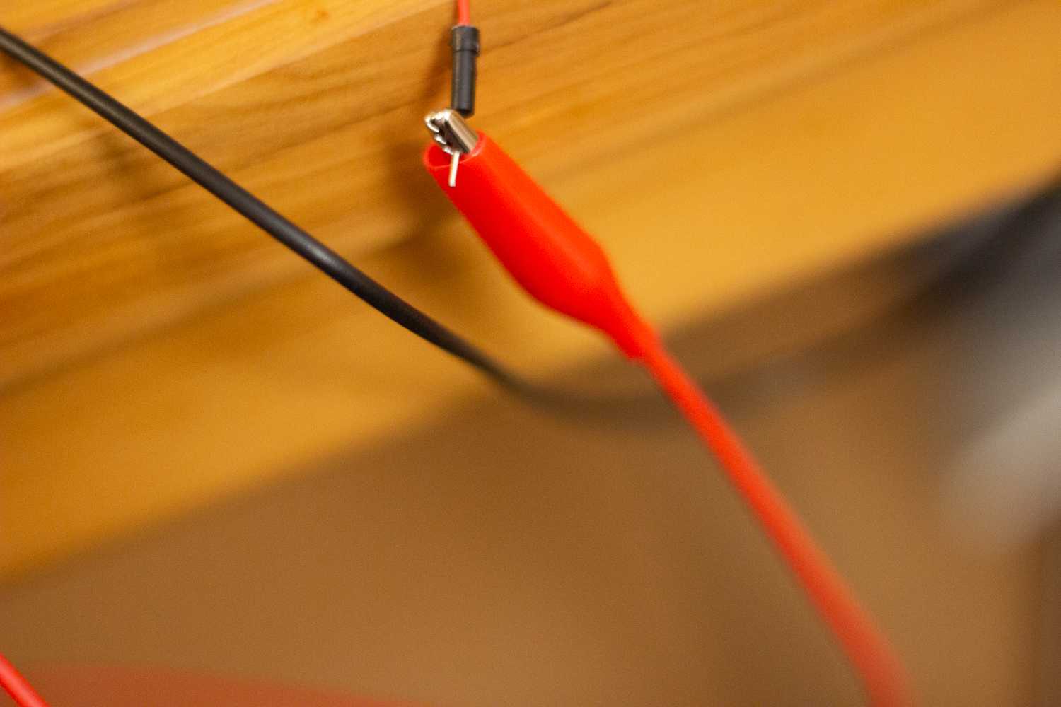 Eine vom digitalen Organismus Kunst aufgenommene Fotografie